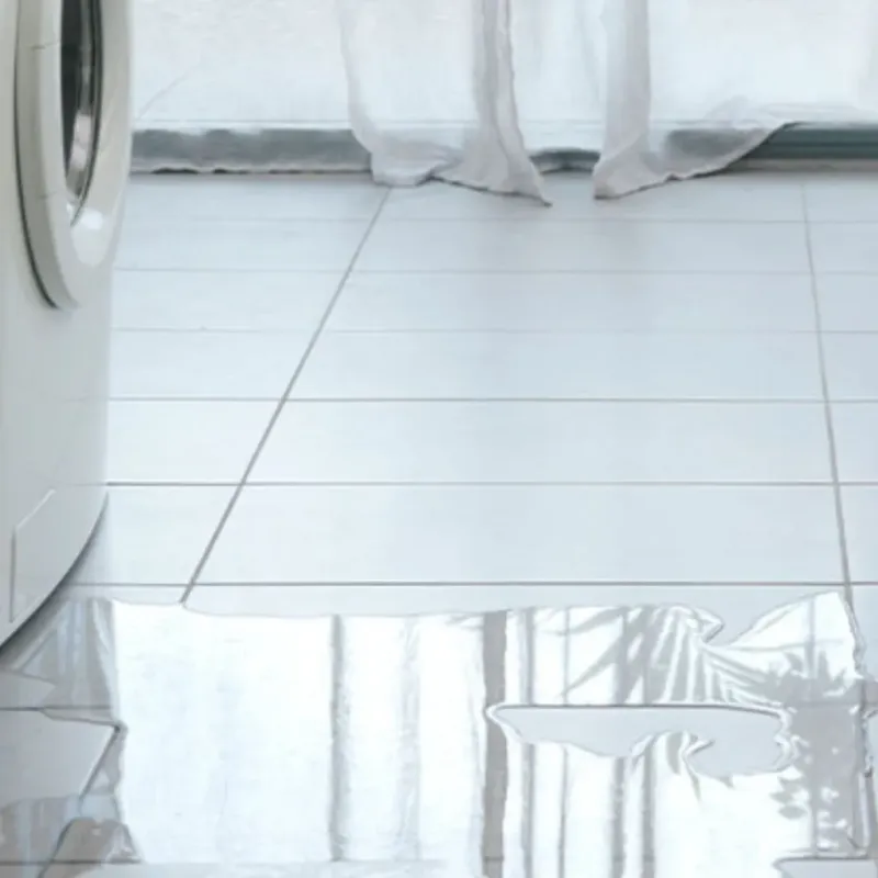 Appliance Leak Cleanup in Bee Ridge, FL