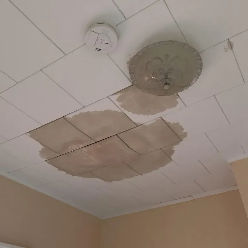 Ceiling Water Damage Repair in Bee Ridge, FL